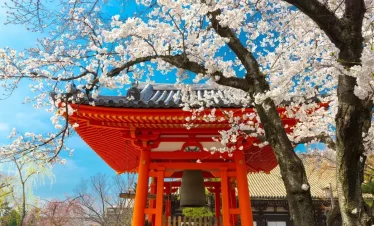 Japan – lúxusferð nóvember 2026